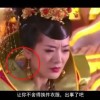 摇头摆尾生肖